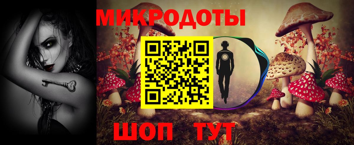 Кингисепп  Псилоцибиновые грибы ЛСД  Вход с VPN 